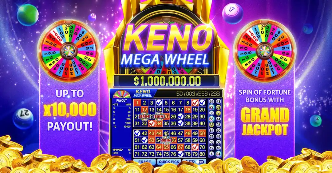 655 bet cassino entretenimento