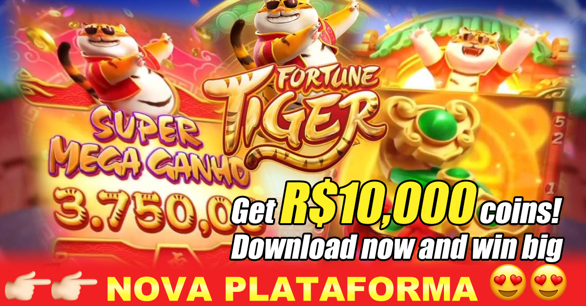 585bet apostas online cassino jogos grátis